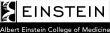 logo einstein
